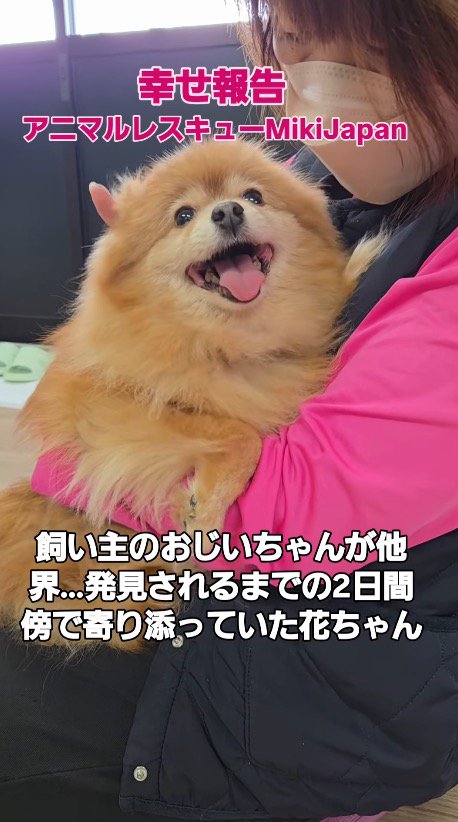 女性に抱っこされながら、笑顔でカメラを見つめる犬