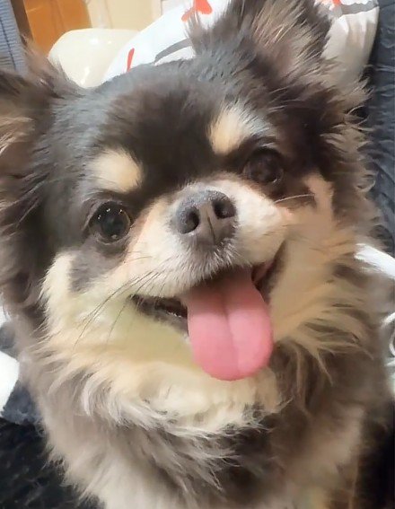 仲睦まじい兄弟でした♡