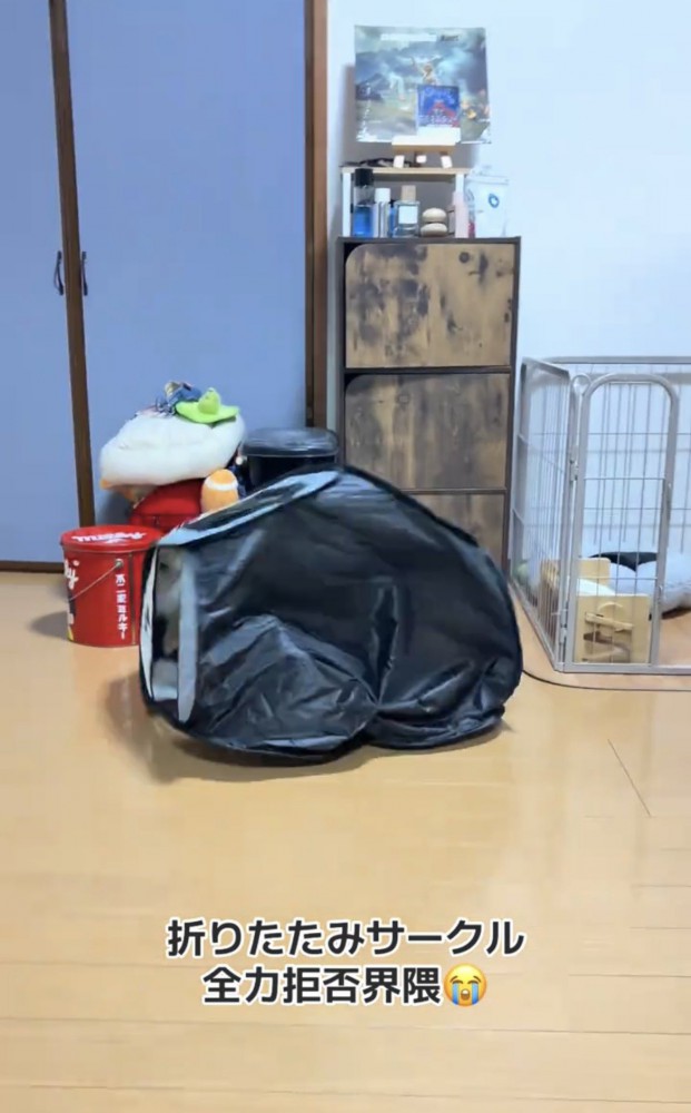 つぶれながら転がるサークル