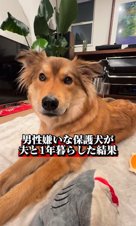 ラッキーくん