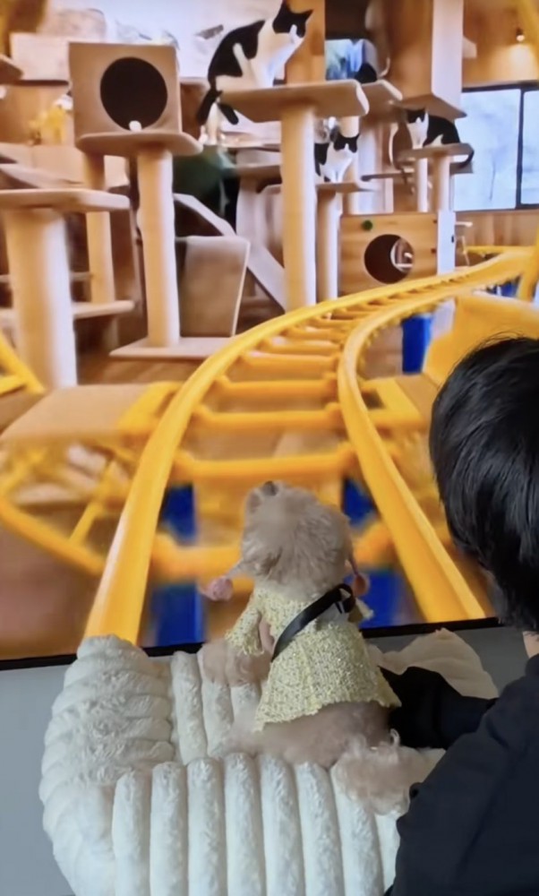 映像なのに、とってもリアル