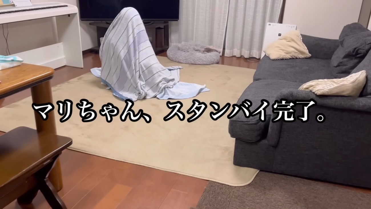 布団をかぶって準備完了