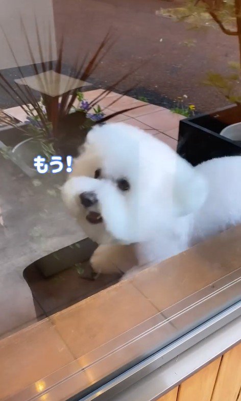 ショーンくんのお迎え6