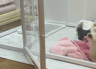 サークル