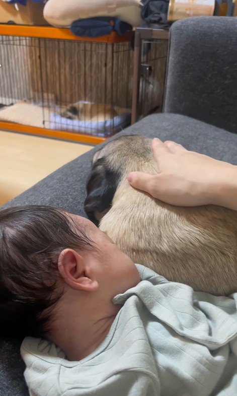 あぽ君とのえる君と赤ちゃん6