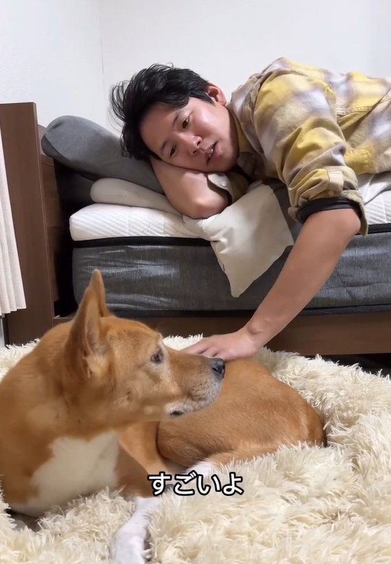 明智くんを撫でる飼い主さん