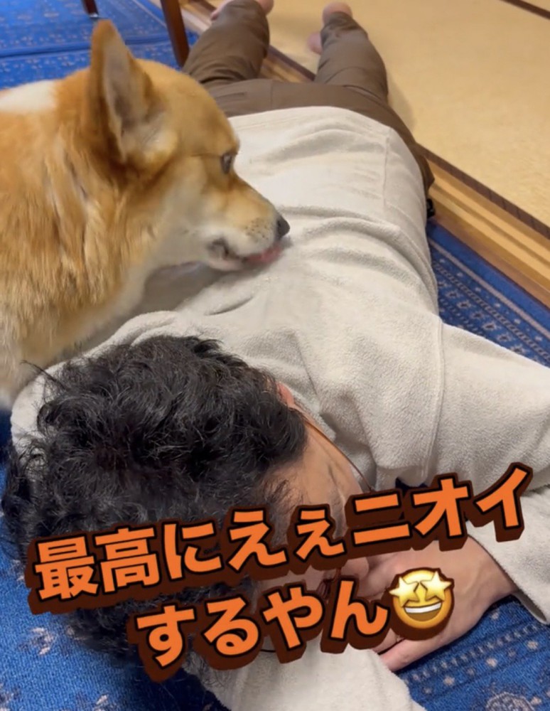 服を舐める犬