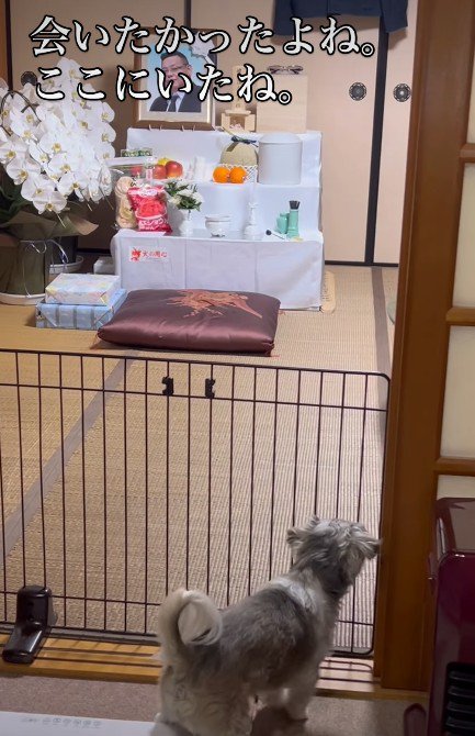 傍に行きたくて…