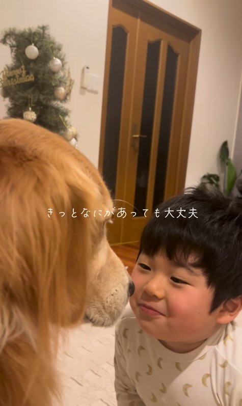 投稿主の息子と大型犬