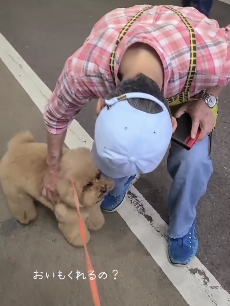 しゃがんで犬を撫でる人