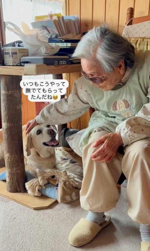 ララちゃんとユーザーさんの再会7