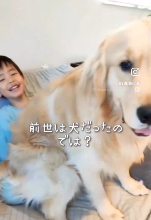 ていちゃんの上に乗るエルくん