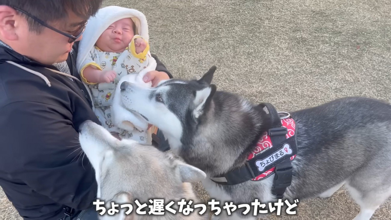 親友のちょびちゃんに赤ちゃんを紹介