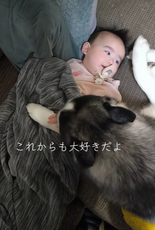 諭吉くんと赤ちゃん8