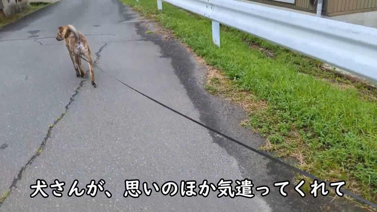ゆっくり歩いてくれています