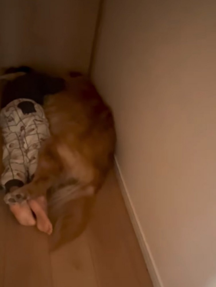 寄り添う大型犬