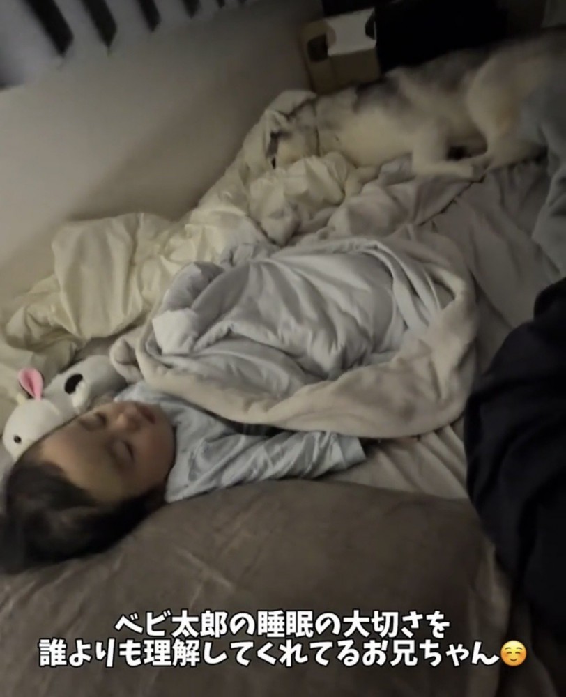 赤ちゃんの足元で伏せる犬