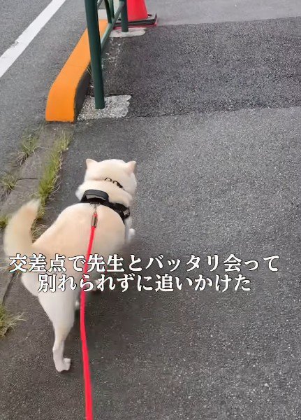 急いで追いかけます