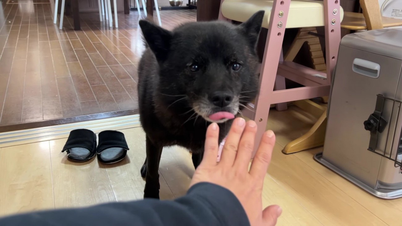 どうしても心配…