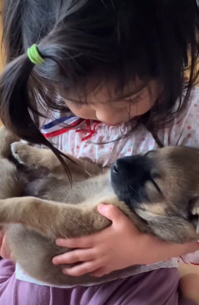 優しい眼差しで子犬を見る