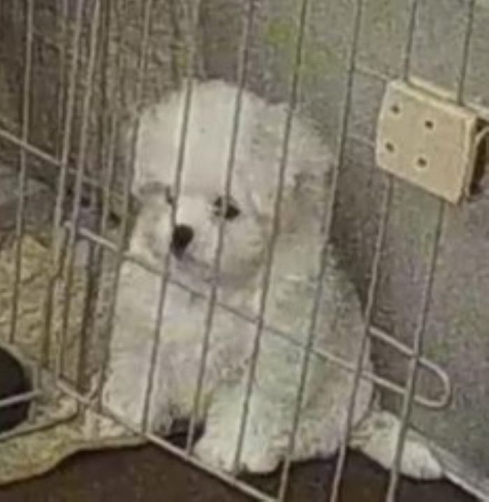 トイレを失敗してしょんぼり