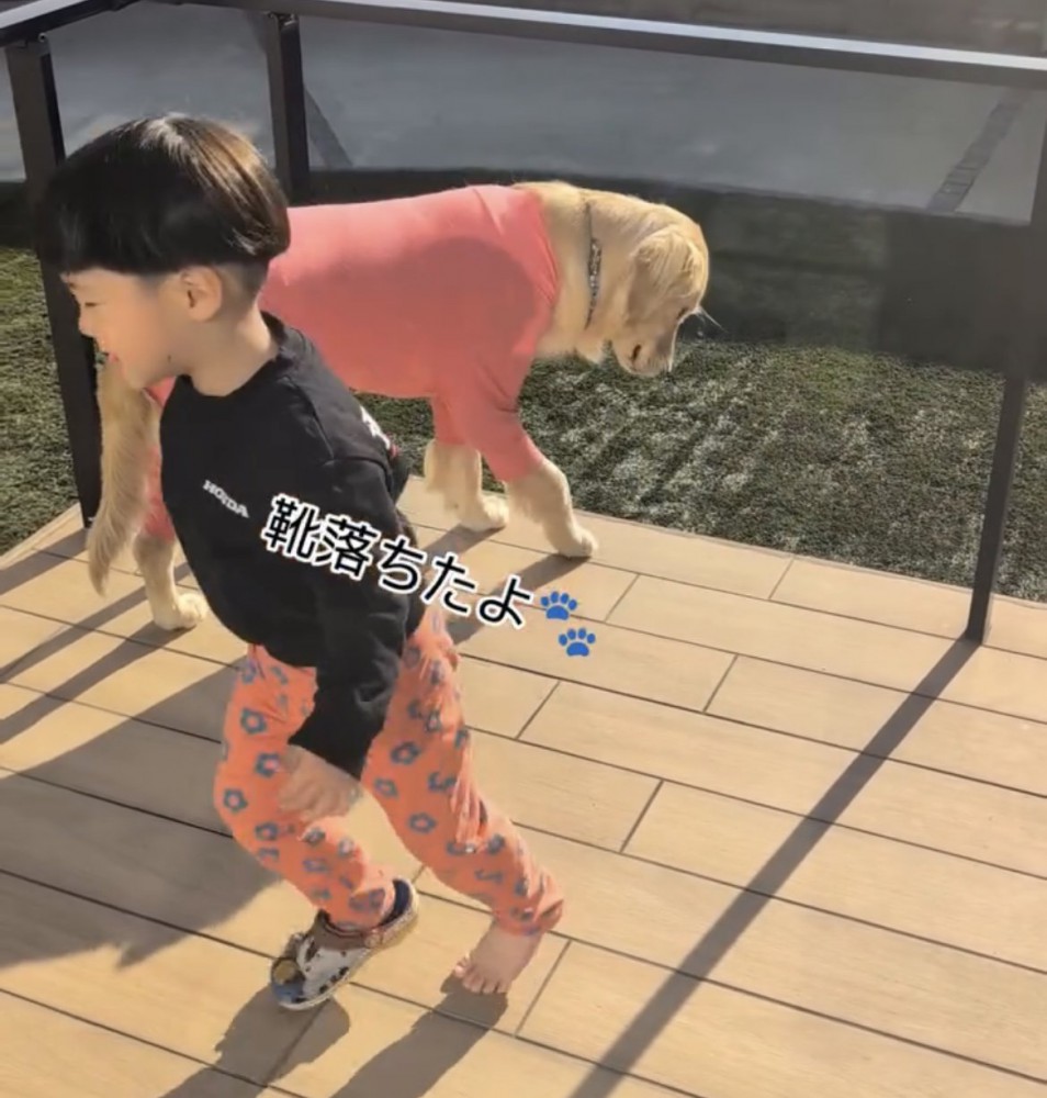 靴を拾いに行く男の子と靴を覗き込む犬