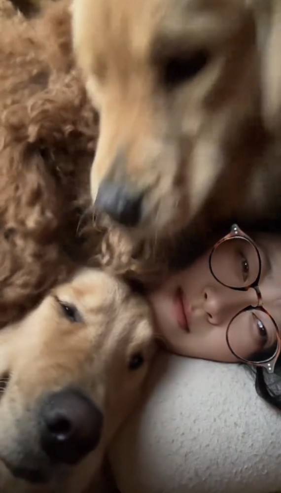 女性を囲む3匹の犬