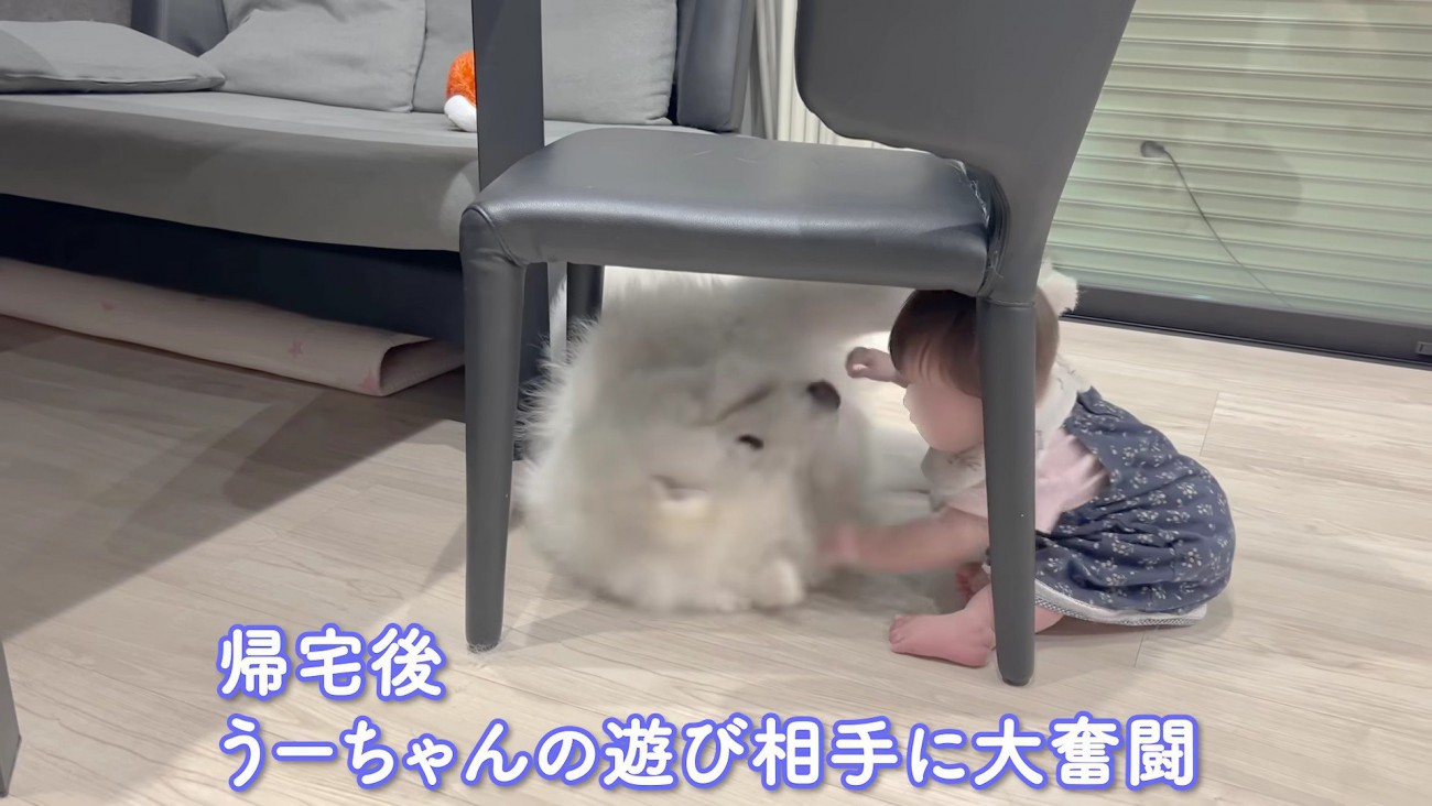 やんちゃ盛りのアイスちゃん
