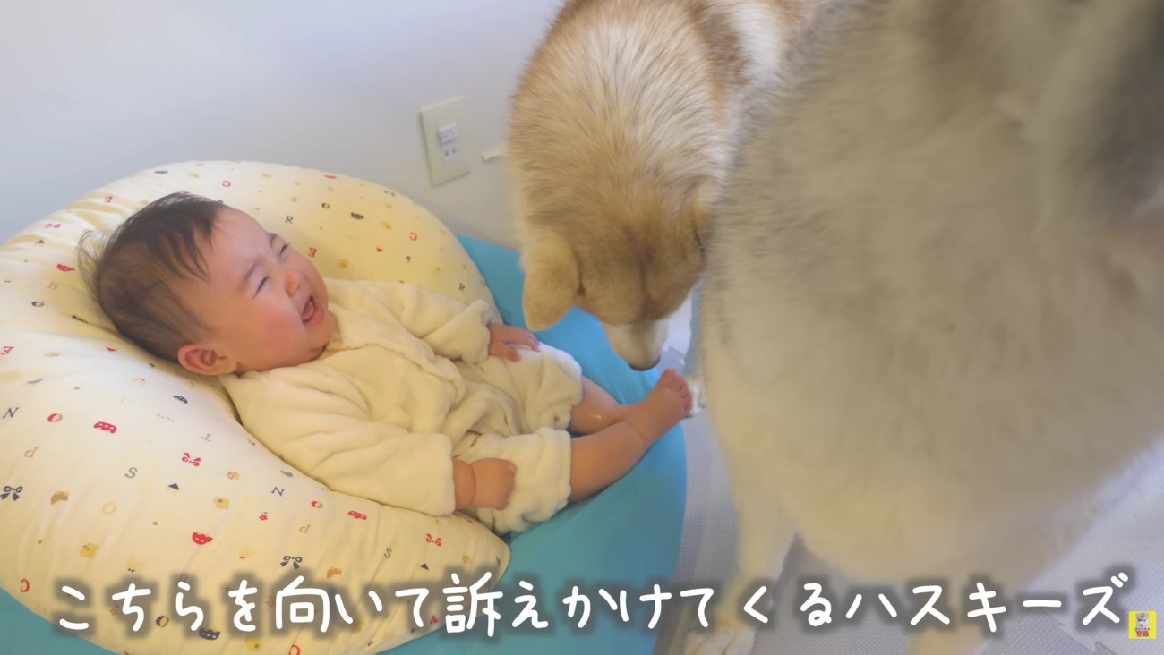 「ママ、ちょっと見てあげて」