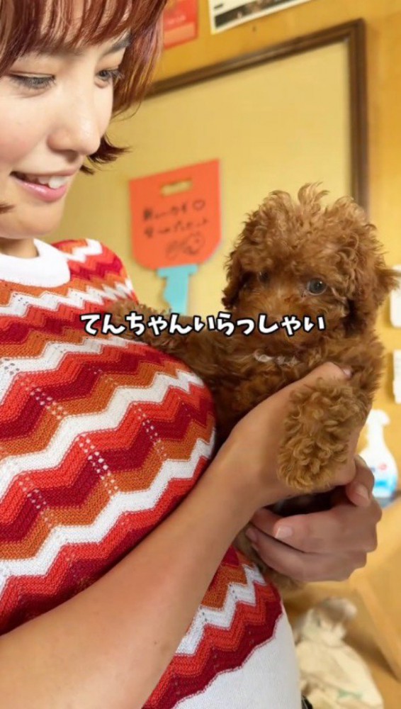 子犬を抱っこする若い女性