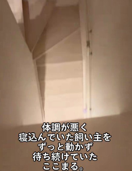 「誰かいるのかな？」