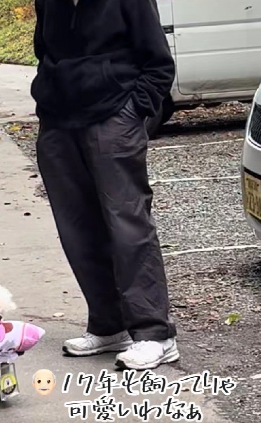 「17年も飼ってりゃ可愛いわな」