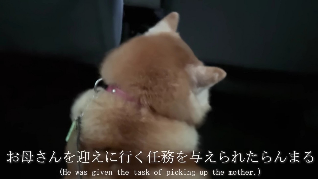 大雪の空港へ…