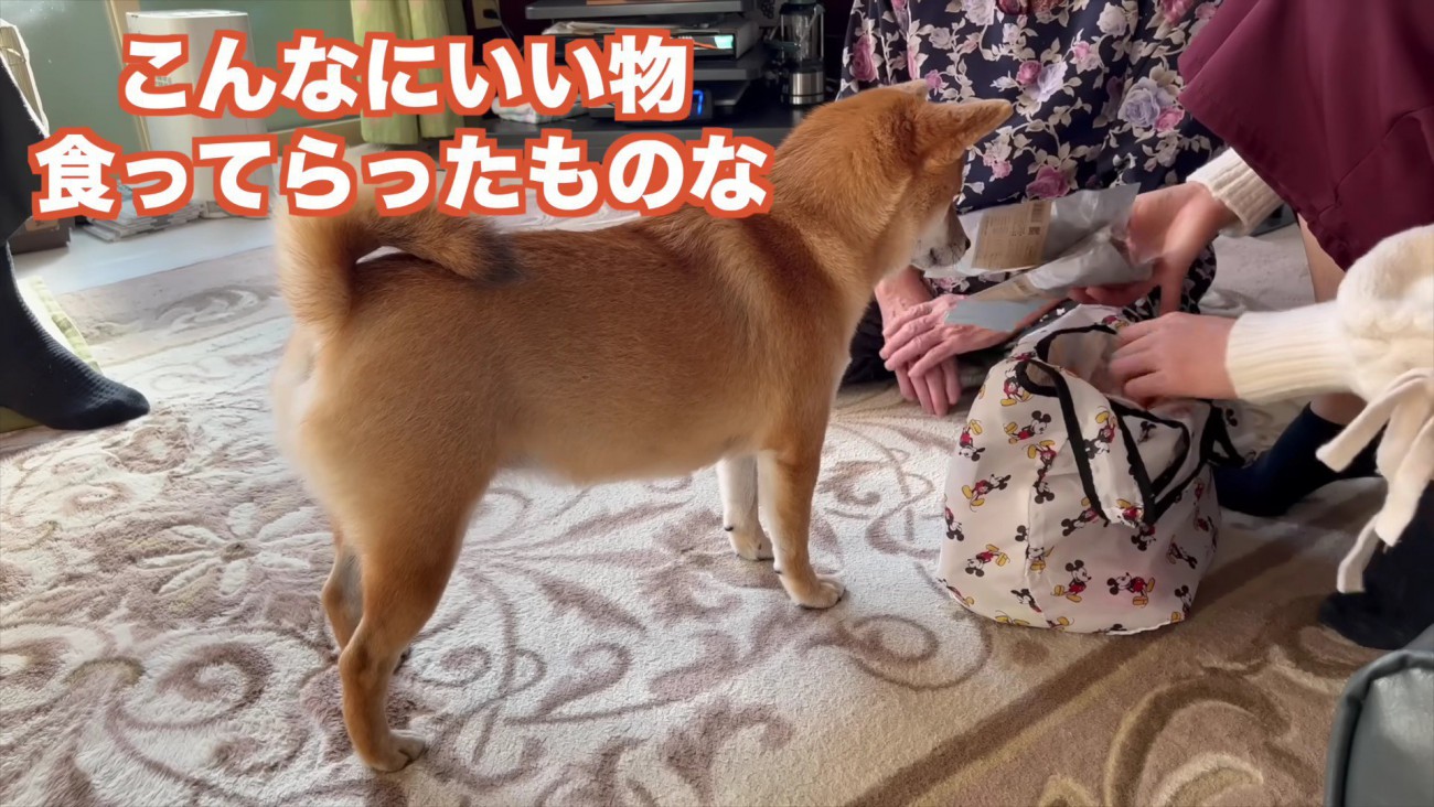 おばあちゃんとお留守番