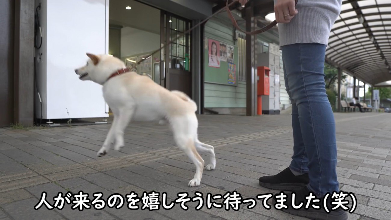 人が通ると大はしゃぎ！