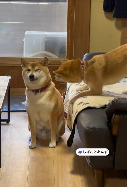 「ねえ、遊ぼうってば～！」