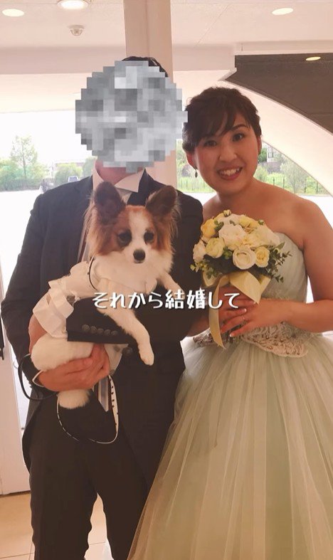 そらちゃんを迎えてからの日々4