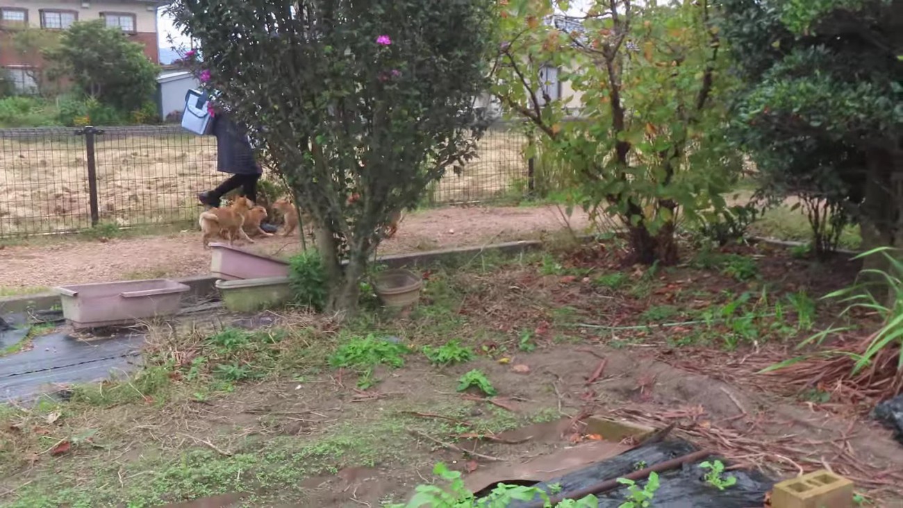 「こんにちは！」