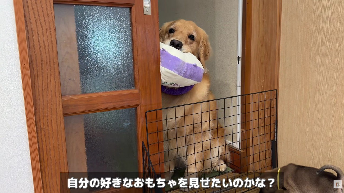 「こんなのとか…」