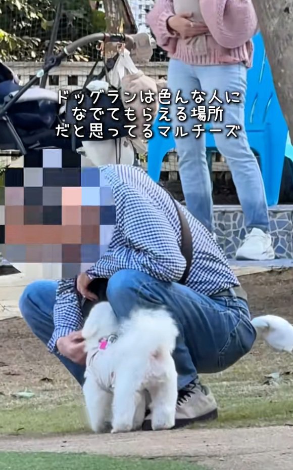 撫でられるおもちくん