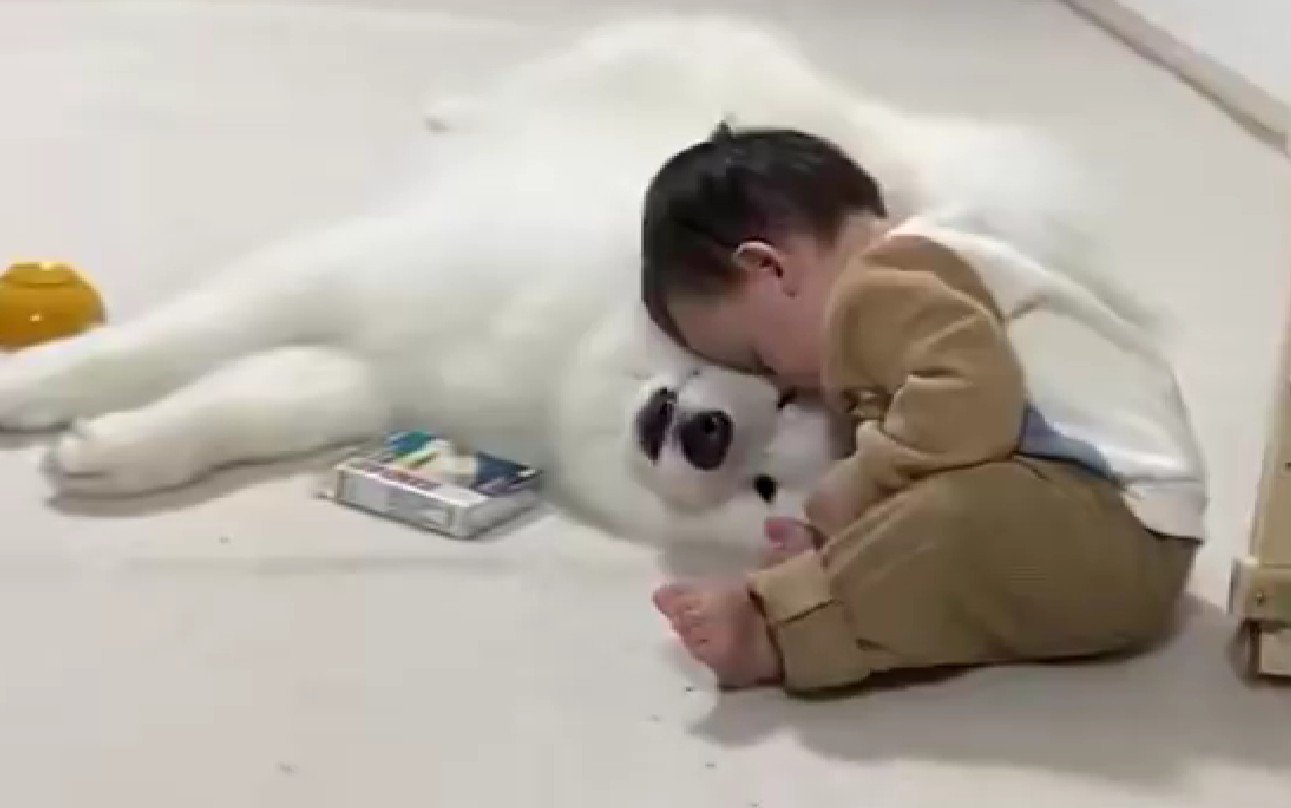 寝るときはいつも一緒♡