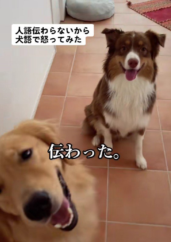 喧嘩は食い止めた♪