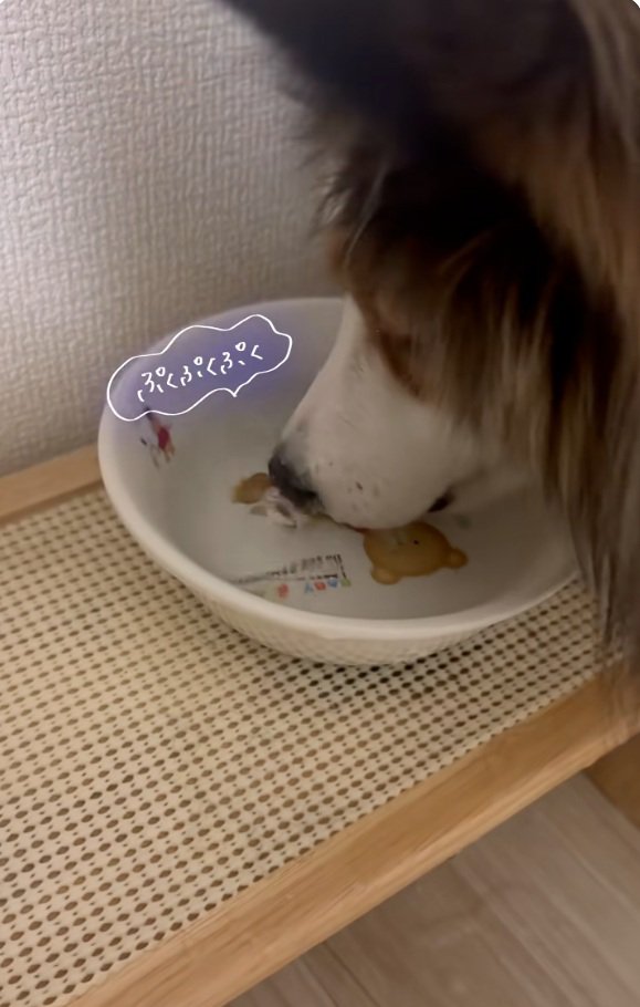 水遊びするさつまくん