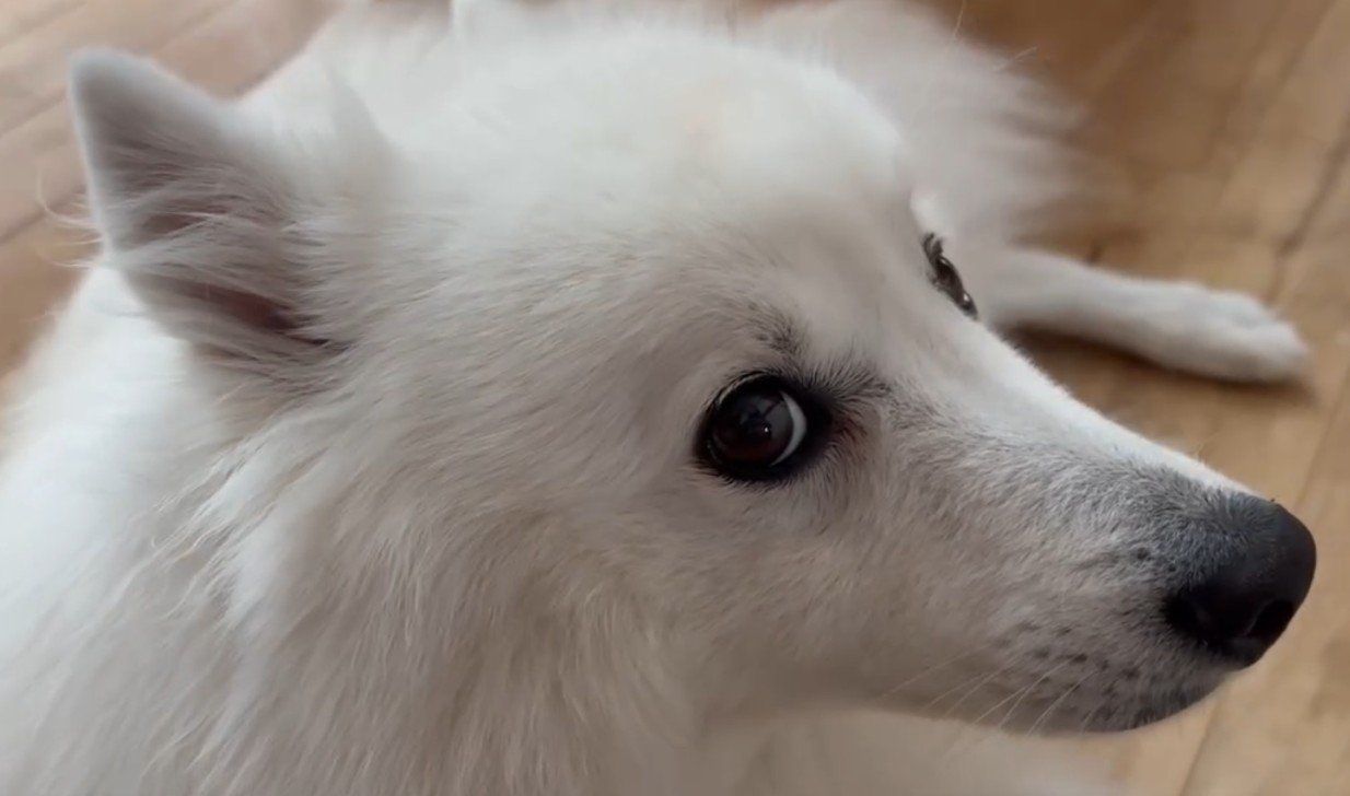 凛とした表情が素敵！