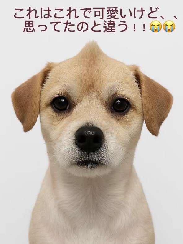 さっぱりしすぎちゃった…？