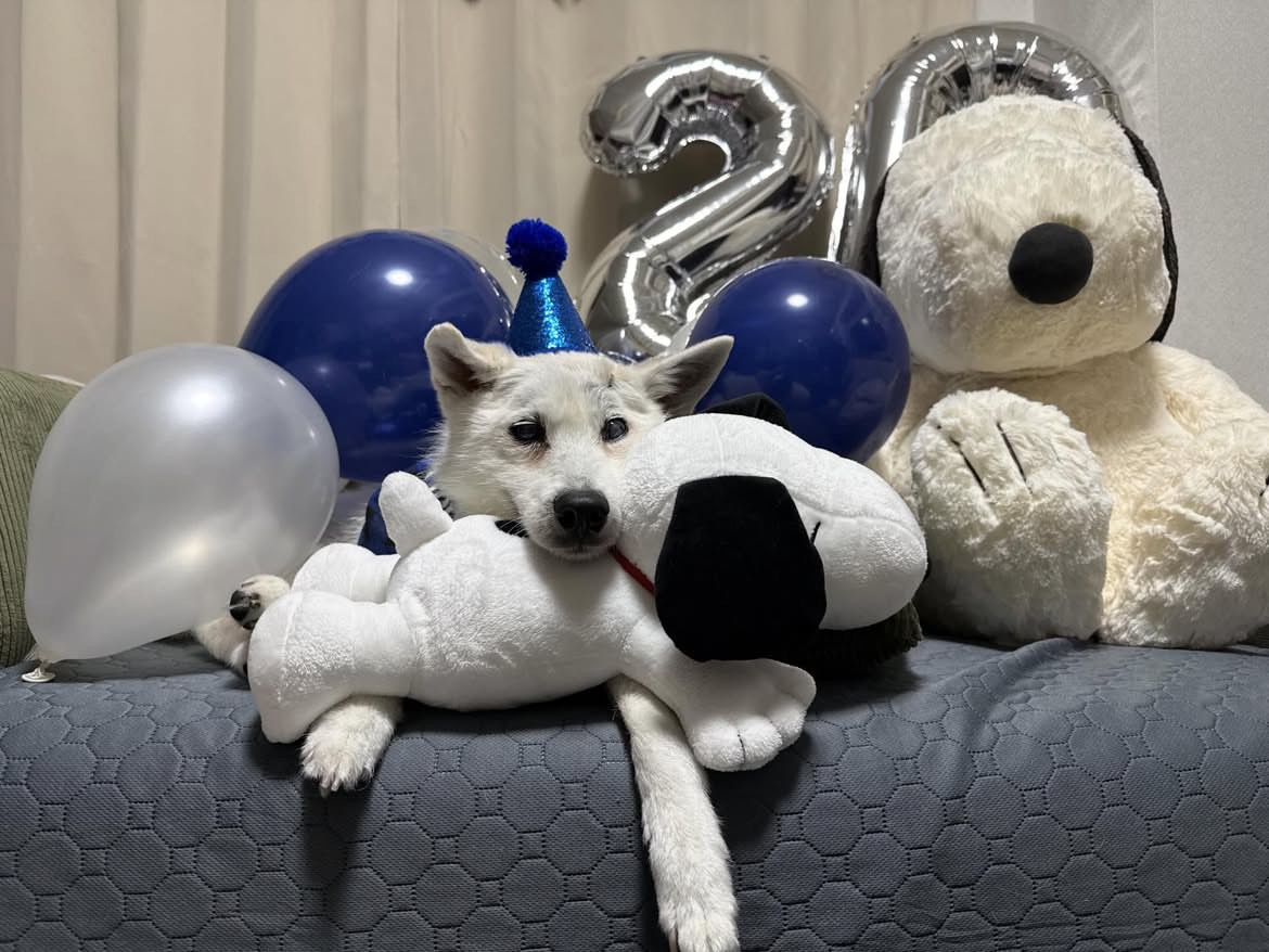 ぬいぐるみに寄りかかる犬