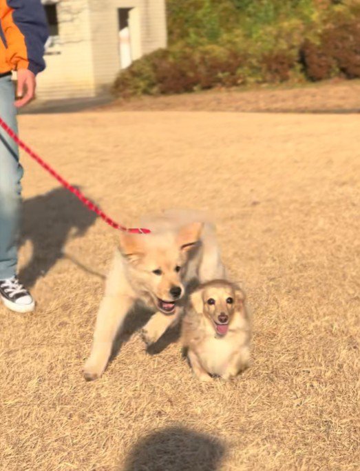 みるくちゃんとも打ち解けた