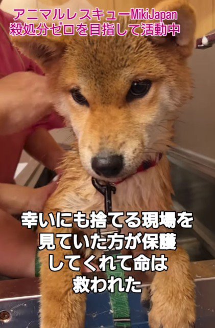 すぐに体をキレイにしました