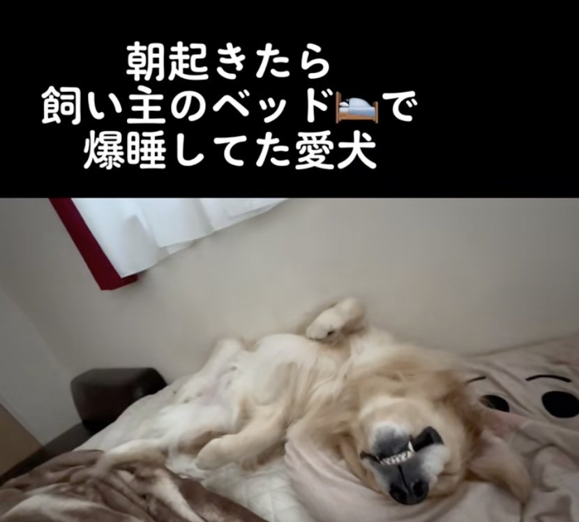 朝イチでこの寝顔が見れる幸せ