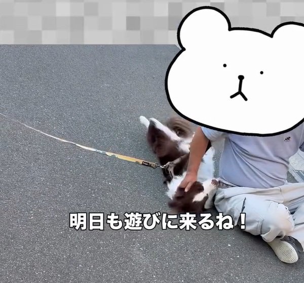 親方が好きなりっかちゃん